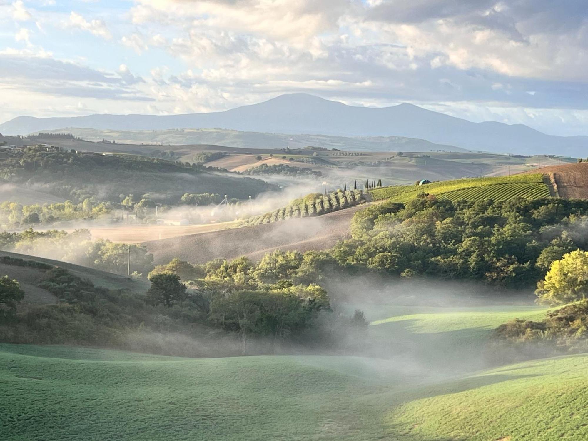 Agriturismo Monsole - Montalcino Zewnętrze zdjęcie